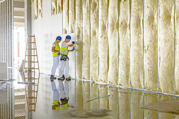 Range of Insulation Solutions in Egypt Lake Leto, FL